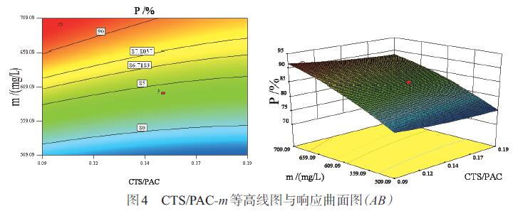 圖4 CTS/PAC-m等高線圖與響應曲面圖(AB)
